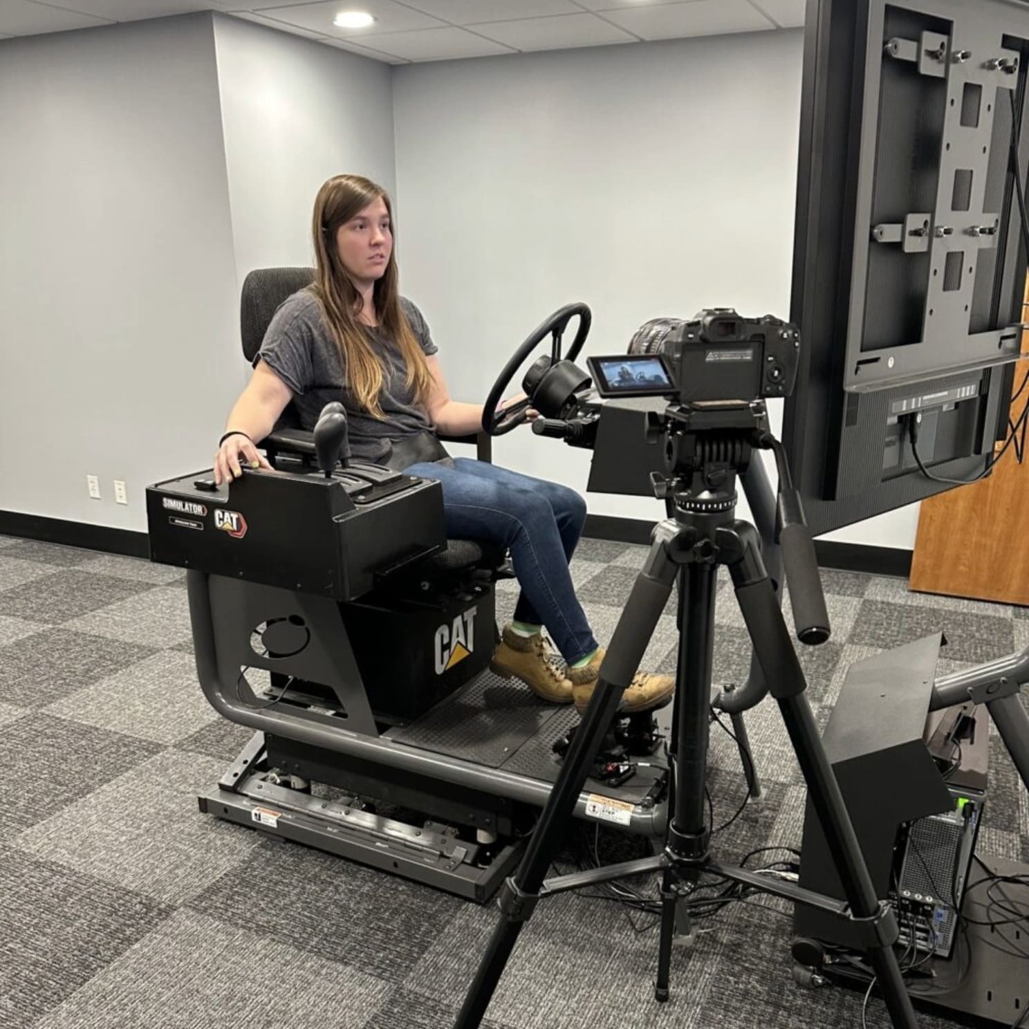 Cat Simulators Virtual Training